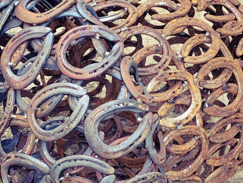 Contrast in acorn colour between forged horseshoes and welded 