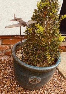mini plane sculpture in tree potted