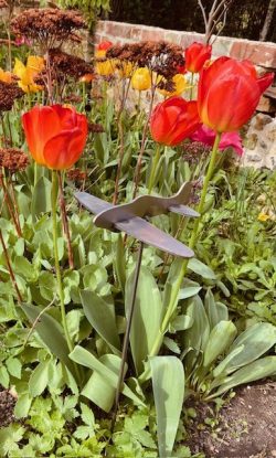single plane model in flower bed